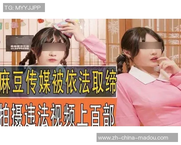 91精品麻豆国产传媒-一、中国媒体的发展概述-91精品麻豆国产传媒